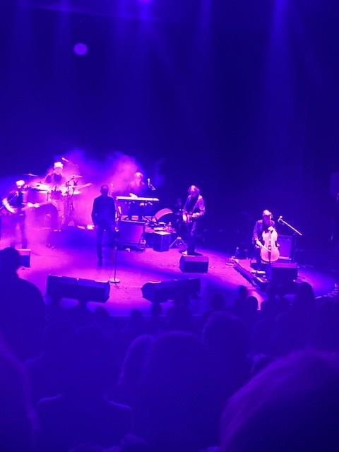 un peu de lumière dans l'obscurité ce n'est pas mal ! photosgcregards03l