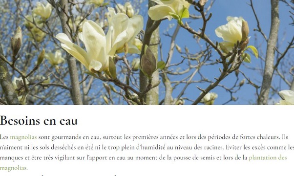 On voulait économiser l'eau ! extrait de Rustica 